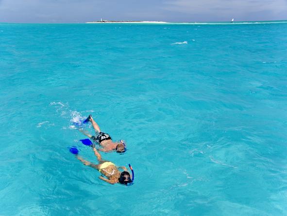 Medjumbe Private Island - snorkelling